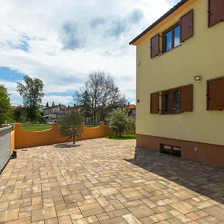 Linden Tree * 풀라